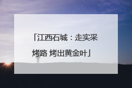 江西石城：走实采烤路 烤出黄金叶