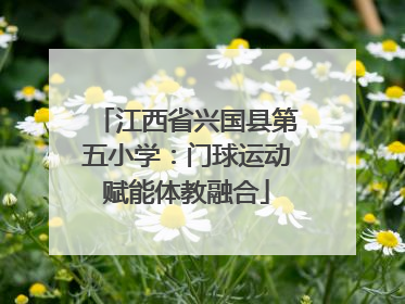 江西省兴国县第五小学：门球运动赋能体教融合