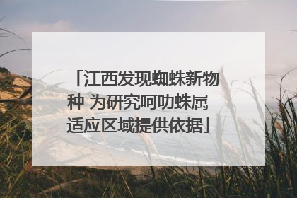 江西发现蜘蛛新物种 为研究呵叻蛛属适应区域提供依据