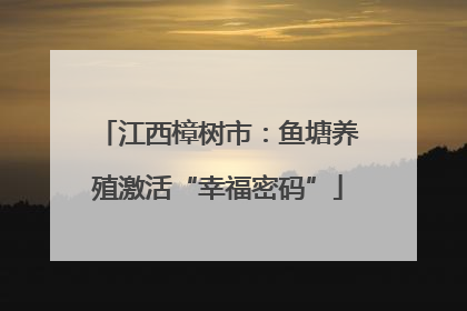 江西樟树市：鱼塘养殖激活“幸福密码”