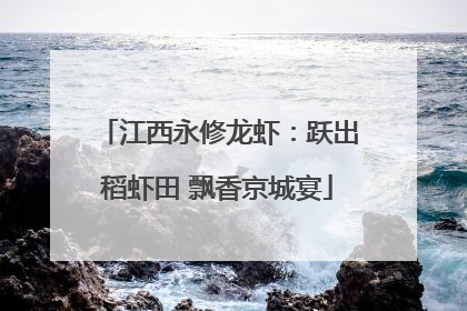 江西永修龙虾：跃出稻虾田 飘香京城宴