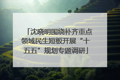 沈晓明围绕补齐重点领域民生短板开展“十五五”规划专题调研