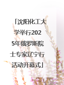 沈阳化工大学举行2025年俄罗斯院士专家辽宁行活动开幕式