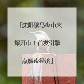 沈阳歇马夜市火爆开市！首发引擎点燃夜经济