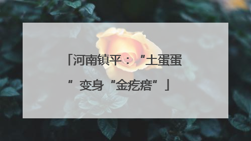河南镇平：“土蛋蛋”变身“金疙瘩”