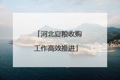 河北夏粮收购工作高效推进