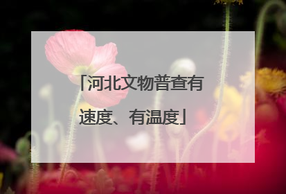 河北文物普查有速度、有温度
