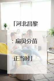 河北昌黎：扇贝分苗正当时