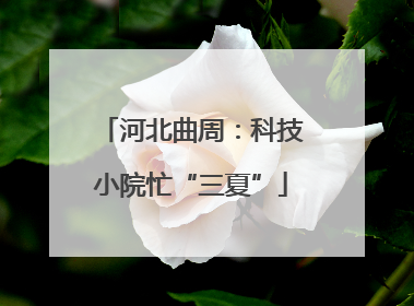 河北曲周：科技小院忙“三夏”