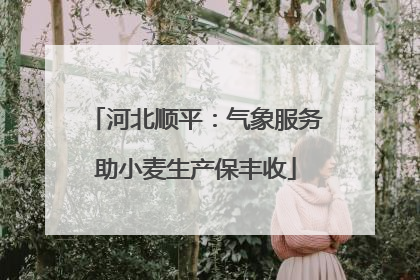 河北顺平：气象服务助小麦生产保丰收