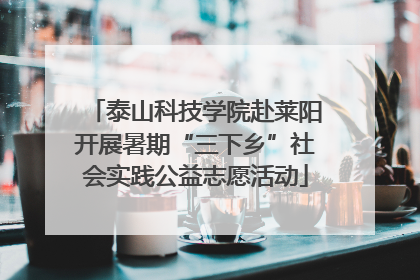 泰山科技学院赴莱阳开展暑期“三下乡”社会实践公益志愿活动