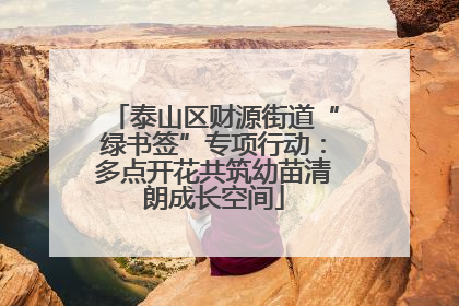 泰山区财源街道“绿书签”专项行动：多点开花共筑幼苗清朗成长空间
