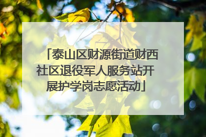 泰山区财源街道财西社区退役军人服务站开展护学岗志愿活动