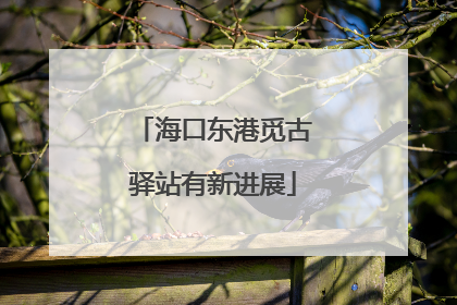 海口东港觅古驿站有新进展