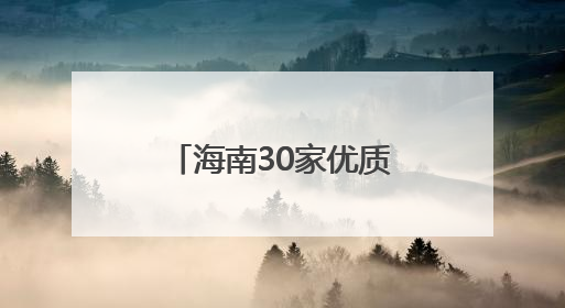 海南30家优质企业亮相中博会