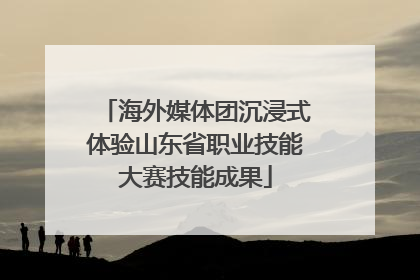 海外媒体团沉浸式体验山东省职业技能大赛技能成果