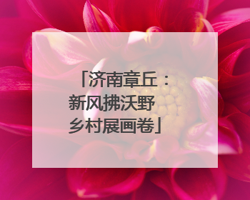 济南章丘：新风拂沃野 乡村展画卷