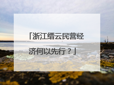 浙江缙云民营经济何以先行？