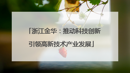 浙江金华：推动科技创新引领高新技术产业发展