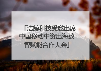 浩鲸科技受邀出席中国移动中资出海数智赋能合作大会