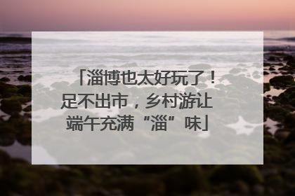 淄博也太好玩了！足不出市，乡村游让端午充满“淄”味