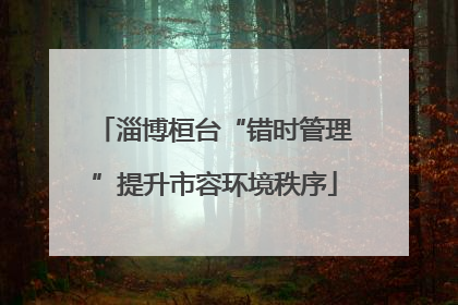 淄博桓台“错时管理”提升市容环境秩序