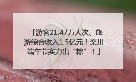 游客21.47万人次、旅游综合收入1.5亿元！栾川端午节实力出“粽”！