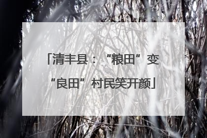 清丰县：“粮田”变“良田”村民笑开颜