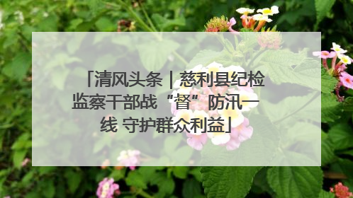 清风头条｜慈利县纪检监察干部战“督”防汛一线 守护群众利益