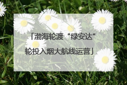 渤海轮渡“绿安达”轮投入烟大航线运营