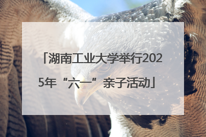 湖南工业大学举行2025年“六一”亲子活动
