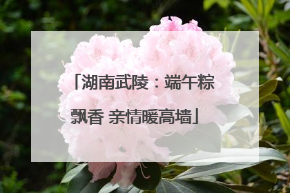 湖南武陵：端午粽飘香 亲情暖高墙