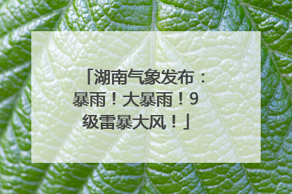 湖南气象发布:暴雨!大暴雨!9级雷暴大风!