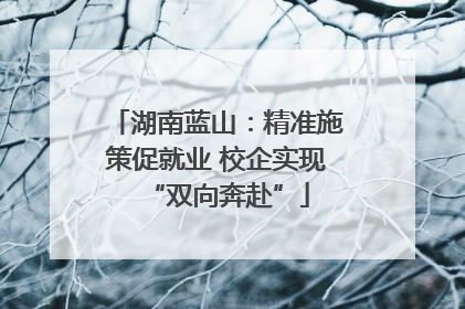 湖南蓝山：精准施策促就业 校企实现“双向奔赴”