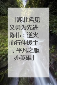 湖北省见义勇为先进陈伟：逆火而行伸援手，平凡之躯亦英雄
