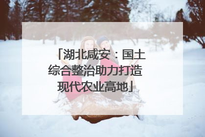 湖北咸安：国土综合整治助力打造现代农业高地
