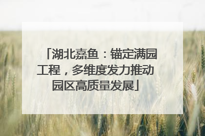 湖北嘉鱼：锚定满园工程，多维度发力推动园区高质量发展
