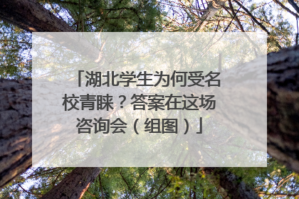湖北学生为何受名校青睐？答案在这场咨询会（组图）