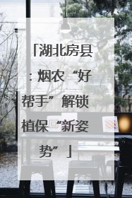 湖北房县：烟农“好帮手”解锁植保“新姿势”