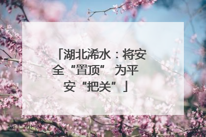 湖北浠水：将安全“置顶” 为平安“把关”