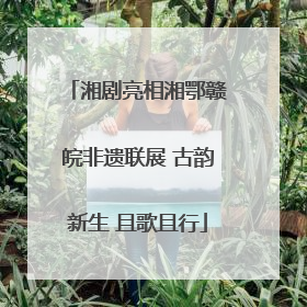 湘剧亮相湘鄂赣皖非遗联展 古韵新生 且歌且行