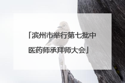 滨州市举行第七批中医药师承拜师大会