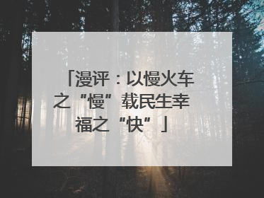 漫评：以慢火车之“慢”载民生幸福之“快”