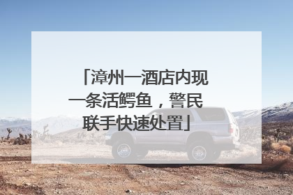 漳州一酒店内现一条活鳄鱼，警民联手快速处置