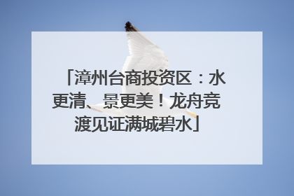 漳州台商投资区：水更清、景更美！龙舟竞渡见证满城碧水
