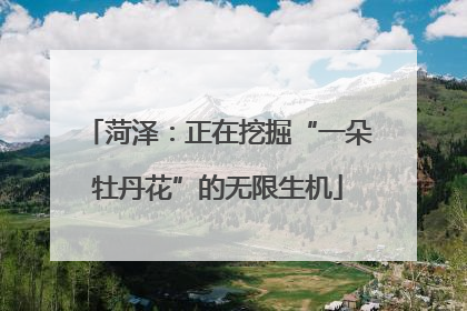 菏泽：正在挖掘“一朵牡丹花”的无限生机