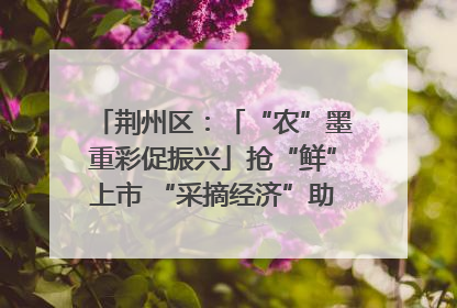 荆州区：「“农”墨重彩促振兴」抢“鲜”上市 “采摘经济”助农“甜蜜增收”