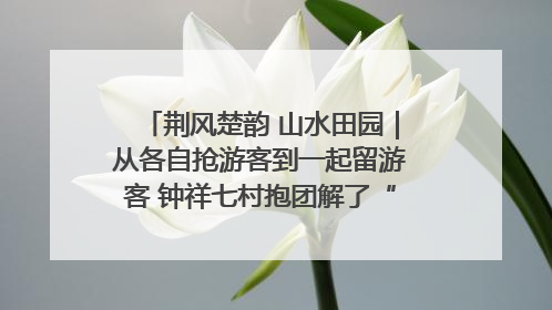 荆风楚韵 山水田园｜从各自抢游客到一起留游客 钟祥七村抱团解了“乡愁”添了“乡酬”