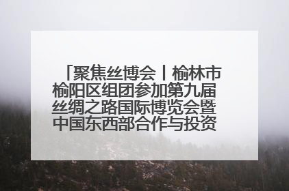 聚焦丝博会丨榆林市榆阳区组团参加第九届丝绸之路国际博览会暨中国东西部合作与投资贸易洽谈会