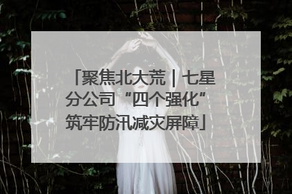 聚焦北大荒｜七星分公司“四个强化”筑牢防汛减灾屏障